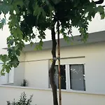 Drosanjica Zadar